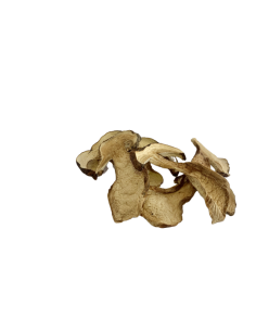 Extra dried porcini mushrooms