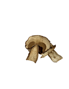 Dried porcini mushrooms