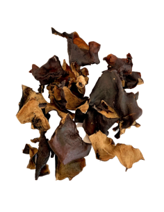 Dried whole black mushrooms