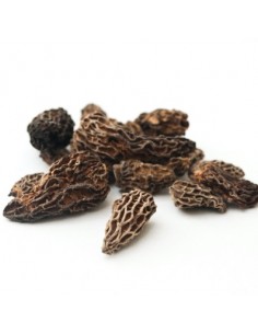 Morilles standard séchées