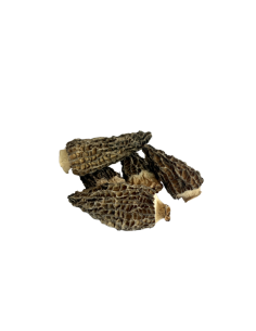 Morilles extra séchées