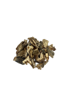 Morilles traiteur séchées