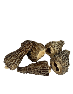 Morilles spéciales séchées