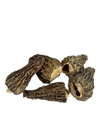 Dried special morels