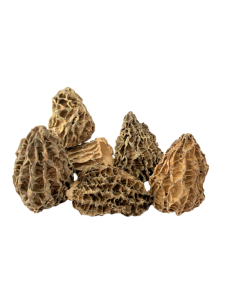 Morilles spéciales séchées